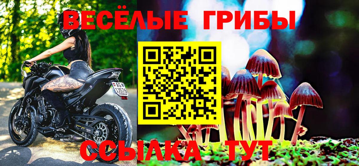 Псилоцибиновые грибы Psilocybe  Вход с VPN  Лангепас 